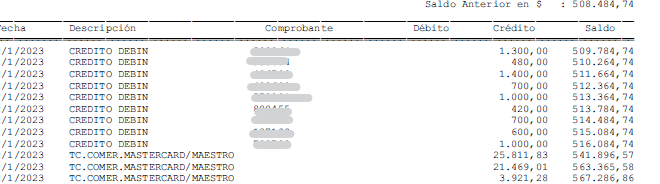 Ejemplo de extracto bancario de Banco Provincia del Neuquén en PDF